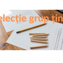 SelectieGT